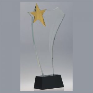 Glass Award 278
