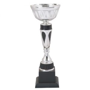 Italian Design Silver/Black Cup 253