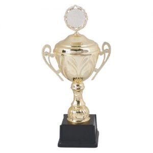 Italian Design Gold Cup & Lid 256