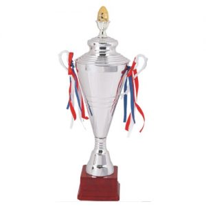 Silver/Gold Cup & Lid 159